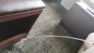 Hotel piss on carpet 1