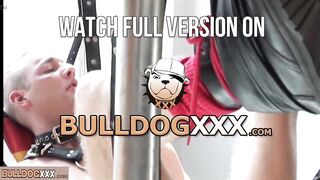 BullDogXXX.com - Obedience and dedication boy!