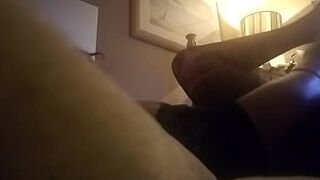 Sweet life of a blossoming butterfly