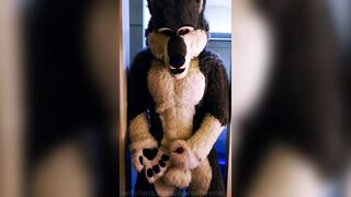 wolf fursuit sheath paw off and cum ????