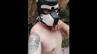 Training dog play submisso puppy boy big pênis