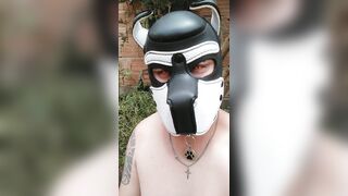 Training dog play submisso puppy boy big pênis