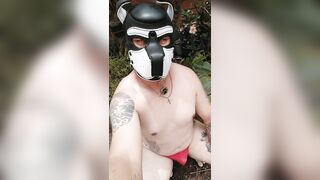 Training dog play submisso puppy boy big pênis