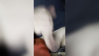 Herrytheking Twink 18 masturbates after school