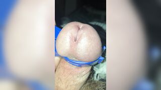 Thumbs up if you bite, thumbs down if you feel bad for the head