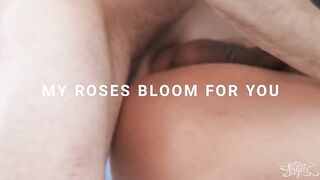 My Roses Bloom For You / TransAngels
