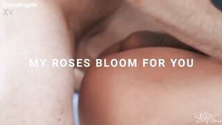 My Roses Bloom For You / TransAngels / download full from www.tafuck.com/moa