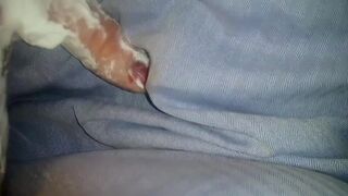 MissLexiLoup trans female ass fucking driving a hot dick up a tight rectum A