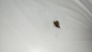 I made a hole in the new mattress, licked my warm cum and fucked her