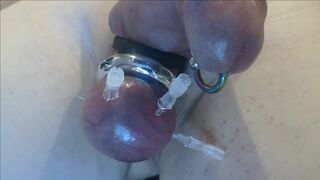 saline injection penis and needles through balls in bdsm cbt games