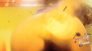 Rainbow Shemale Scarlett Ocean does Fly Away