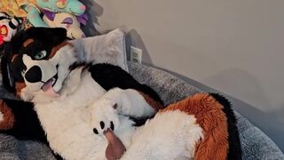 @AngryBarks from the Vet's office teaches your how to milk your puppy boyfriend ????‍????????