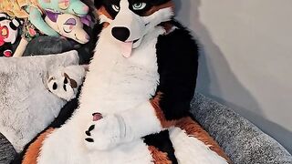 @AngryBarks from the Vet's office teaches your how to milk your puppy boyfriend ????‍????????