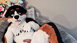 @AngryBarks from the Vet's office teaches your how to milk your puppy boyfriend ????‍????????