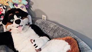 @AngryBarks from the Vet's office teaches your how to milk your puppy boyfriend ????‍????????