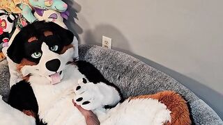 @AngryBarks from the Vet's office teaches your how to milk your puppy boyfriend ????‍????????