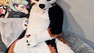 @AngryBarks from the Vet's office teaches your how to milk your puppy boyfriend ????‍????????