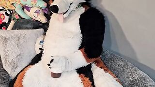 @AngryBarks from the Vet's office teaches your how to milk your puppy boyfriend ????‍????????