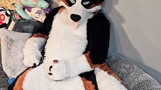 @AngryBarks from the Vet's office teaches your how to milk your puppy boyfriend ????‍????????