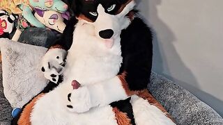 @AngryBarks from the Vet's office teaches your how to milk your puppy boyfriend ????‍????????