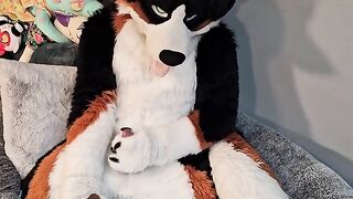 @AngryBarks from the Vet's office teaches your how to milk your puppy boyfriend ????‍????????