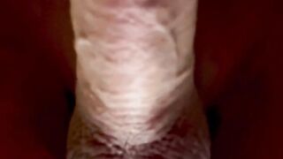 Cock Close Up Hot Shot