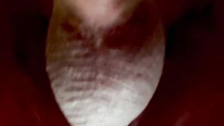 Cock Close Up Hot Shot