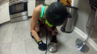 My Omega Puppy Playing With His Toys and Eating Out of His Bowl