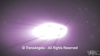 Passionate Petals TransAngels