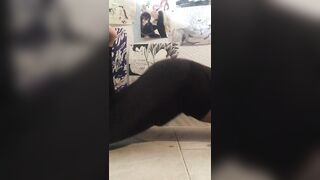 Femboy masturbandose y haciendo entrenamiento femboy