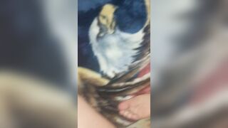 I insert and remove the plug stretching the ass of a Latina tranny before inserting my big cock into