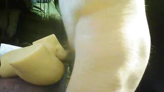 cock fucking toy